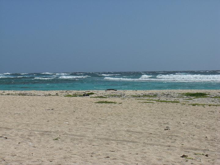 Aruba - January 2008 009.JPG